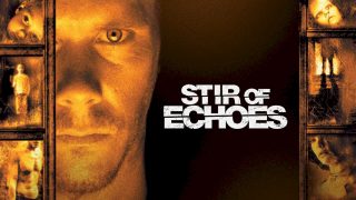 Stir of Echoes 1999