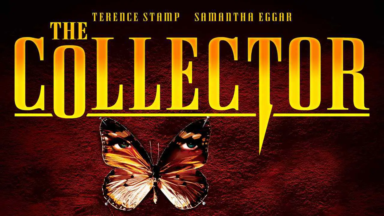 movie collector duplicate records