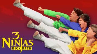 3 Ninjas: Kick Back 1994