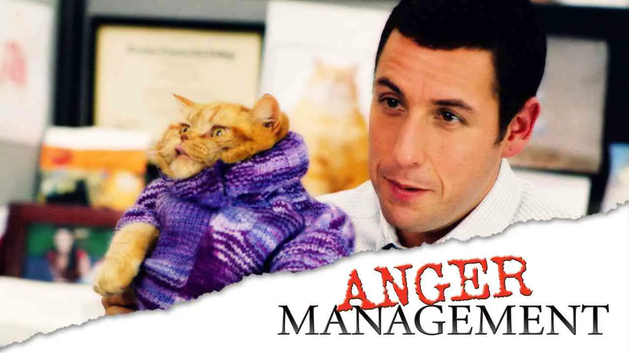 Is Movie Anger Management 2003 Streaming On Netflix 8360