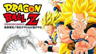 Dragon Ball Z: Wrath of the Dragon 1995