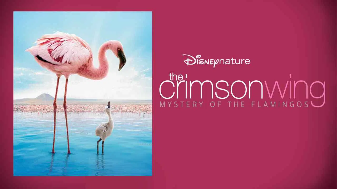 The Crimson Wing: Mystery of the Flamingos2008