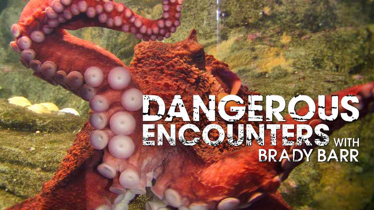 Dangerous Encounters with Brady Barr2012