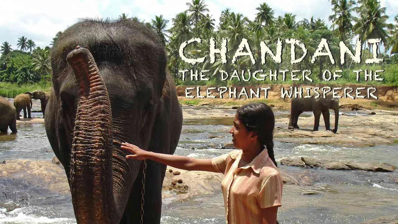 Chandani: The Daughter of the Elephant Whisperer2010
