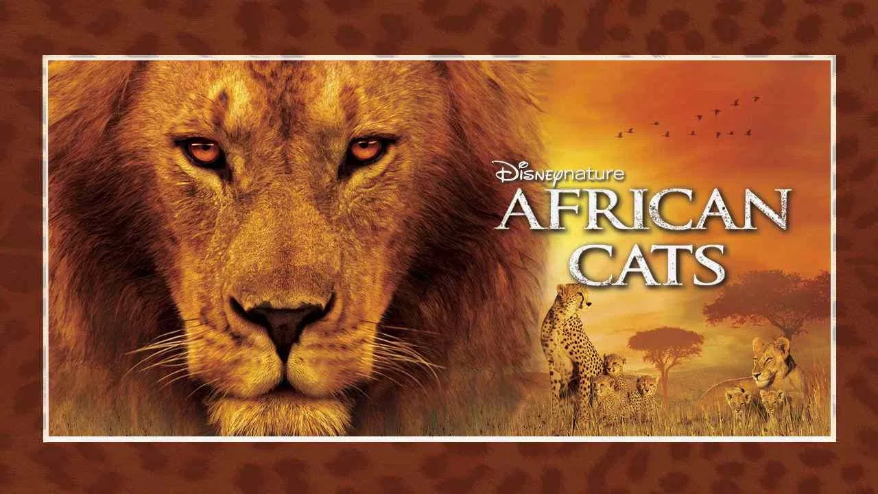 African Cats2011