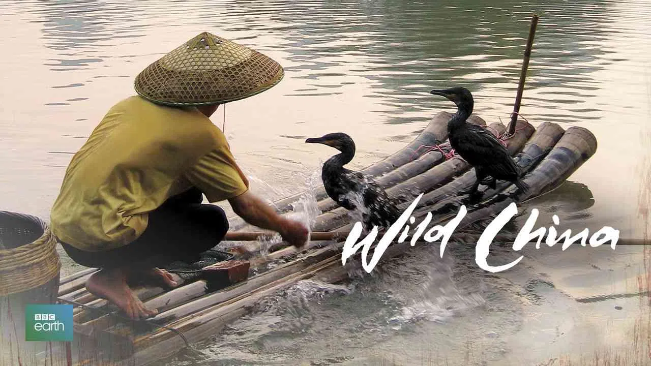 Wild China2008