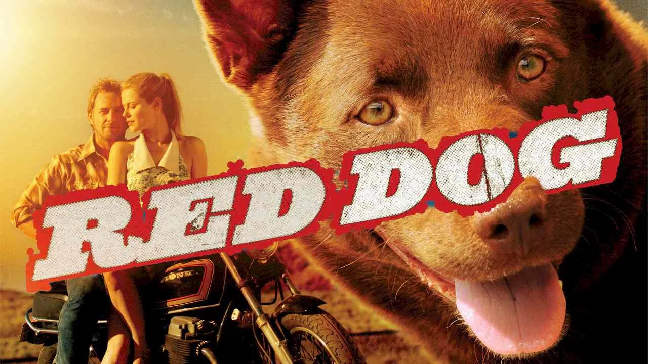 Red Dog2012