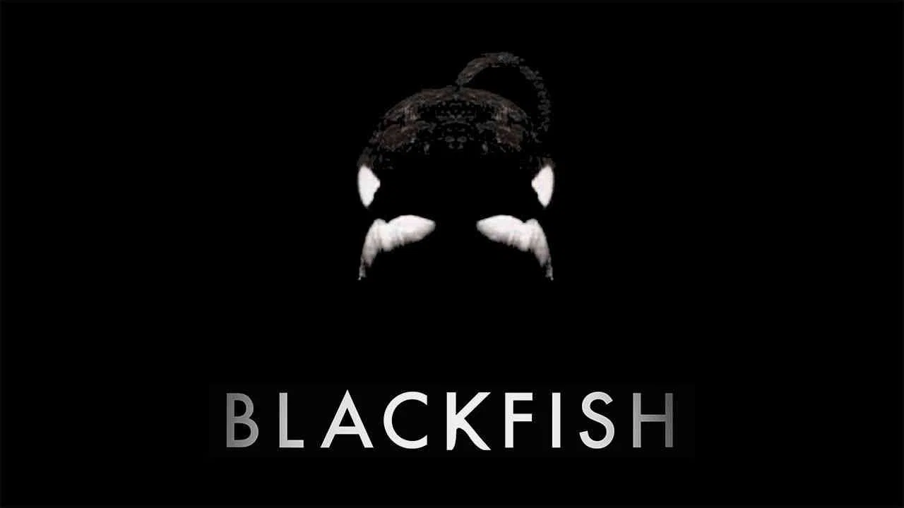 Blackfish2013