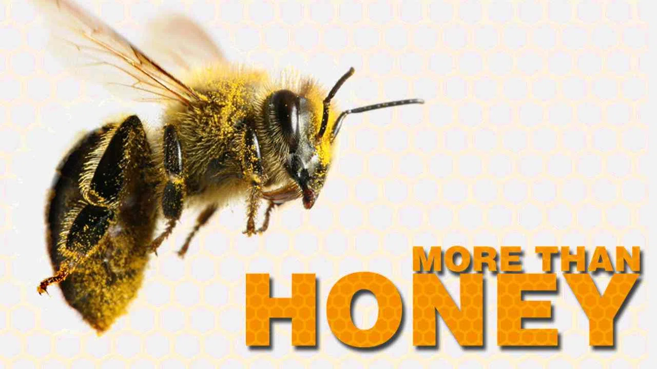 More Than Honey2012