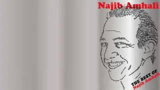 Najib Amhali: The Best Of 2010