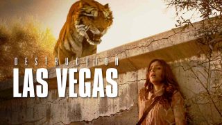 Destruction: Las Vegas 2013