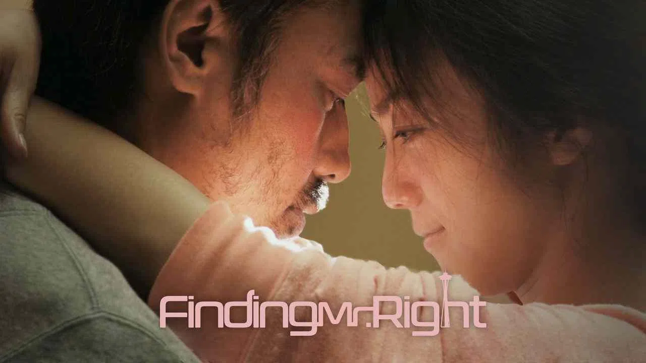 Finding Mr. Right2013
