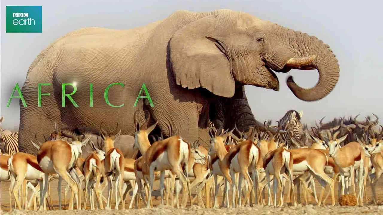 Africa2013