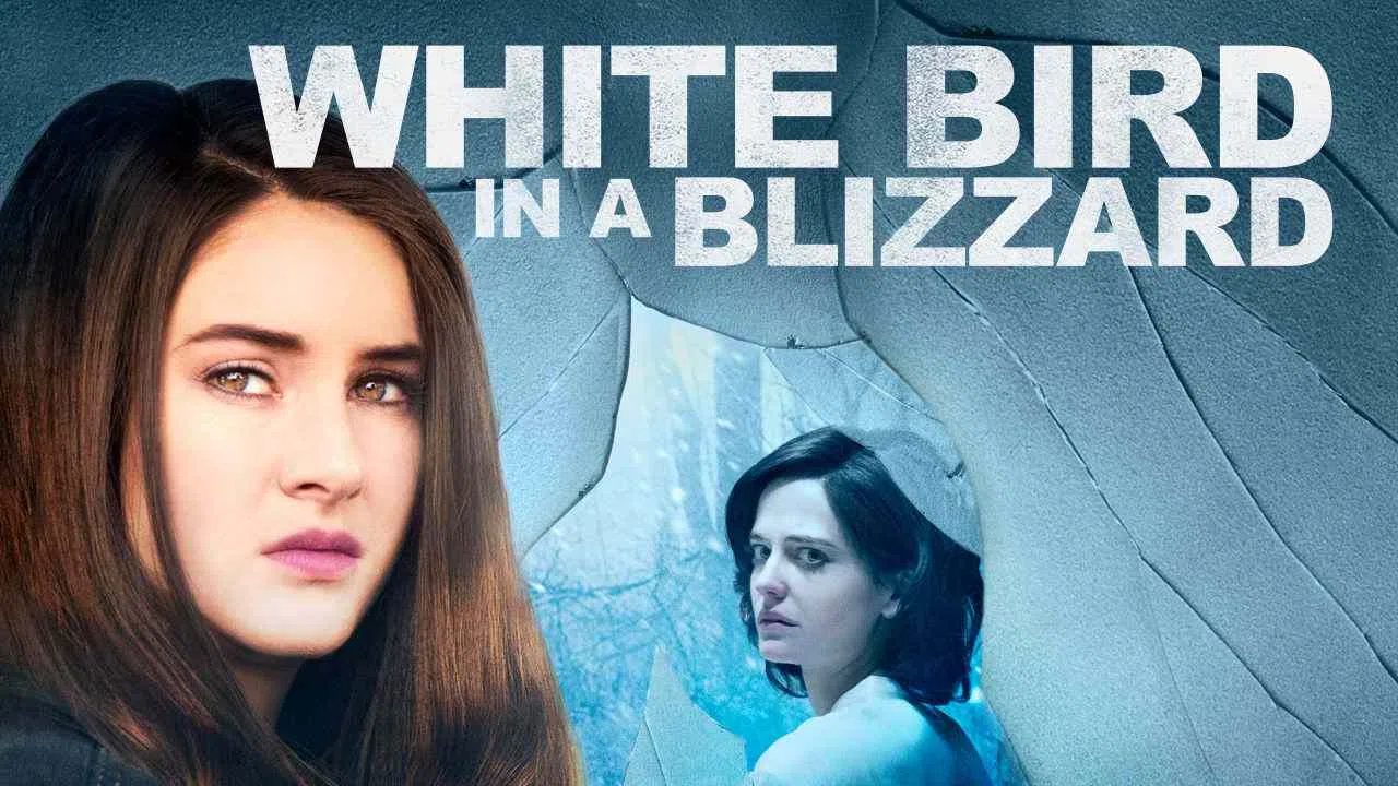 White Bird in a Blizzard2014
