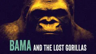 Bama and the Lost Gorillas 2011