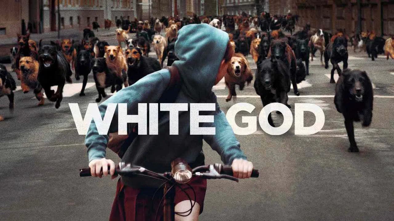 White God2014