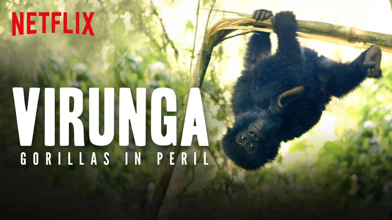 Virunga: Gorillas in Peril2015