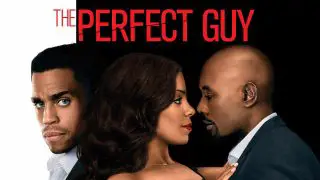 The Perfect Guy 2015