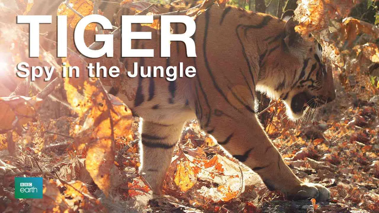Tiger: Spy in the Jungle2008