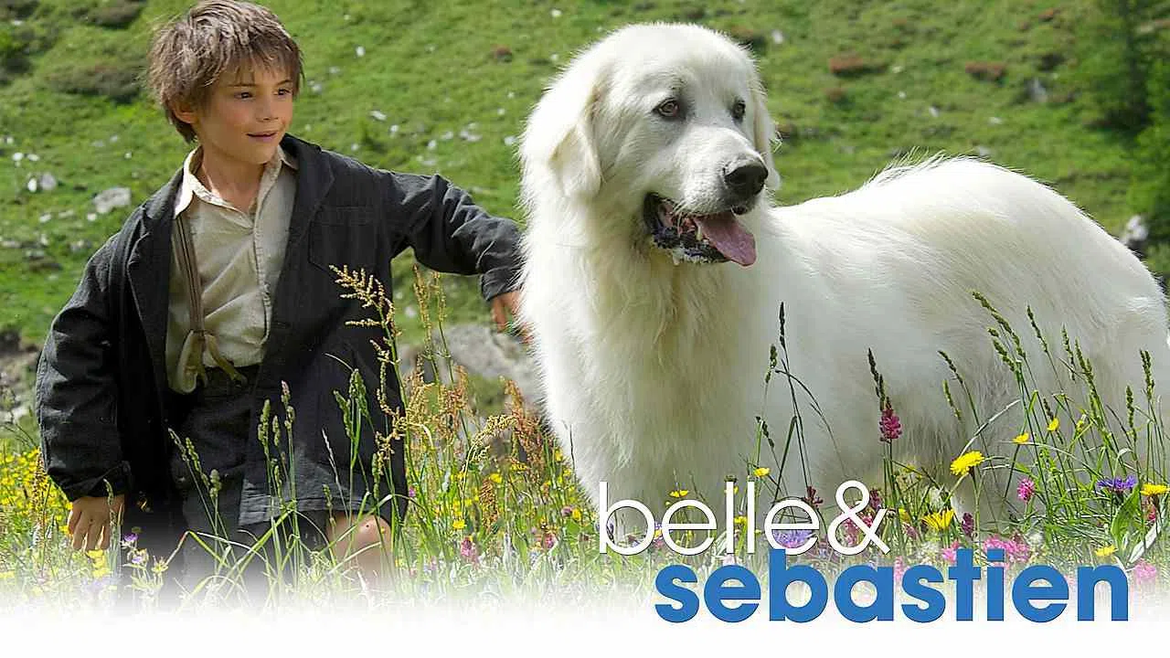 Belle and Sebastian2013