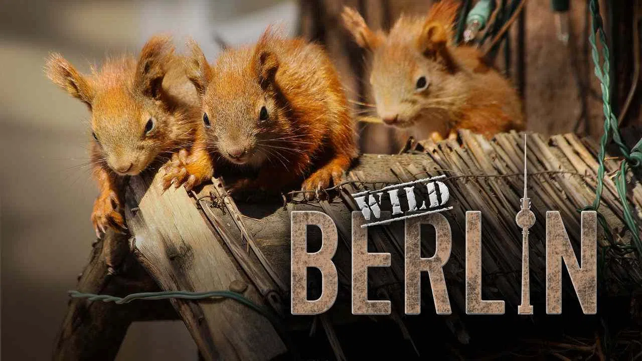 Wild Berlin2013