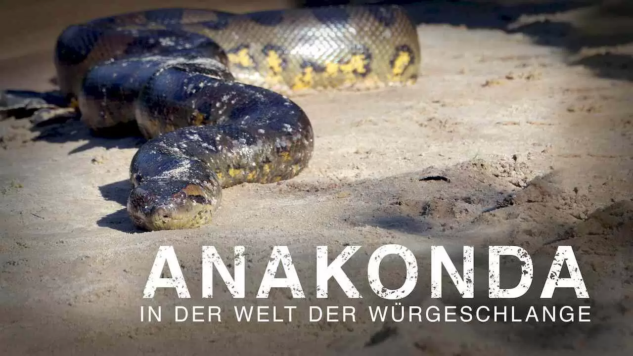 Anaconda – Silent Killer2014