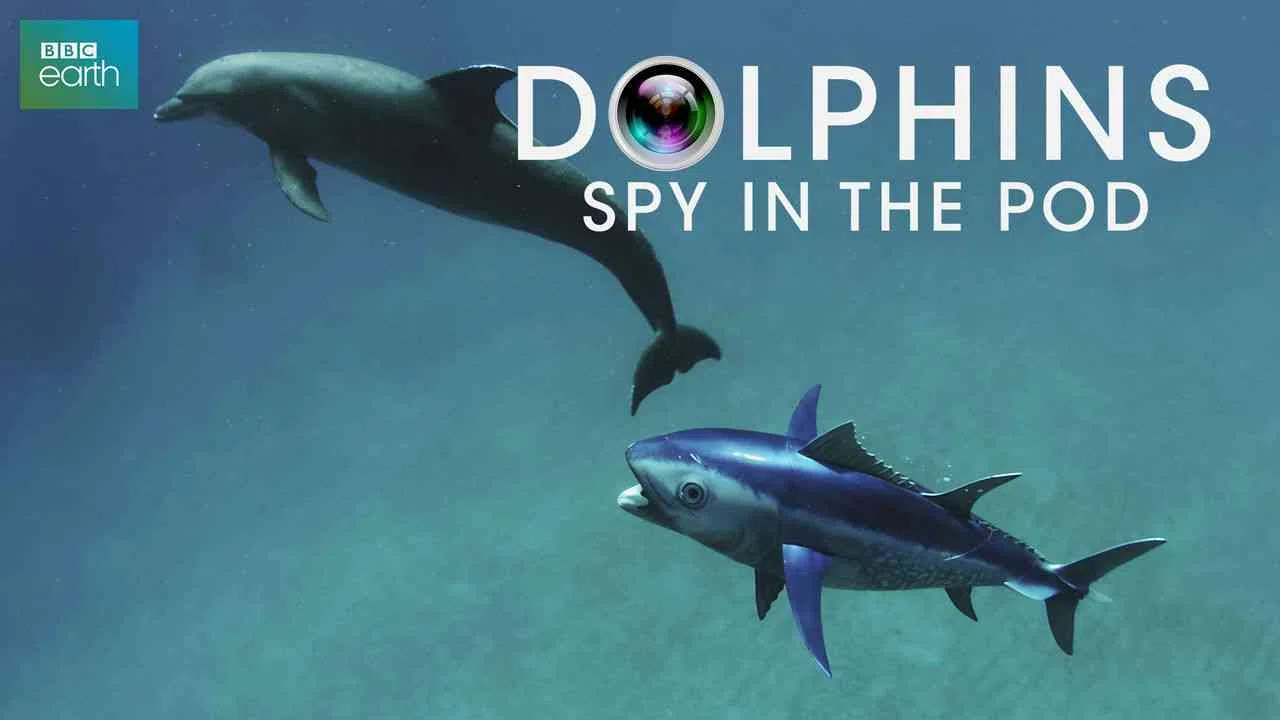 Dolphins: Spy in the Pod2014