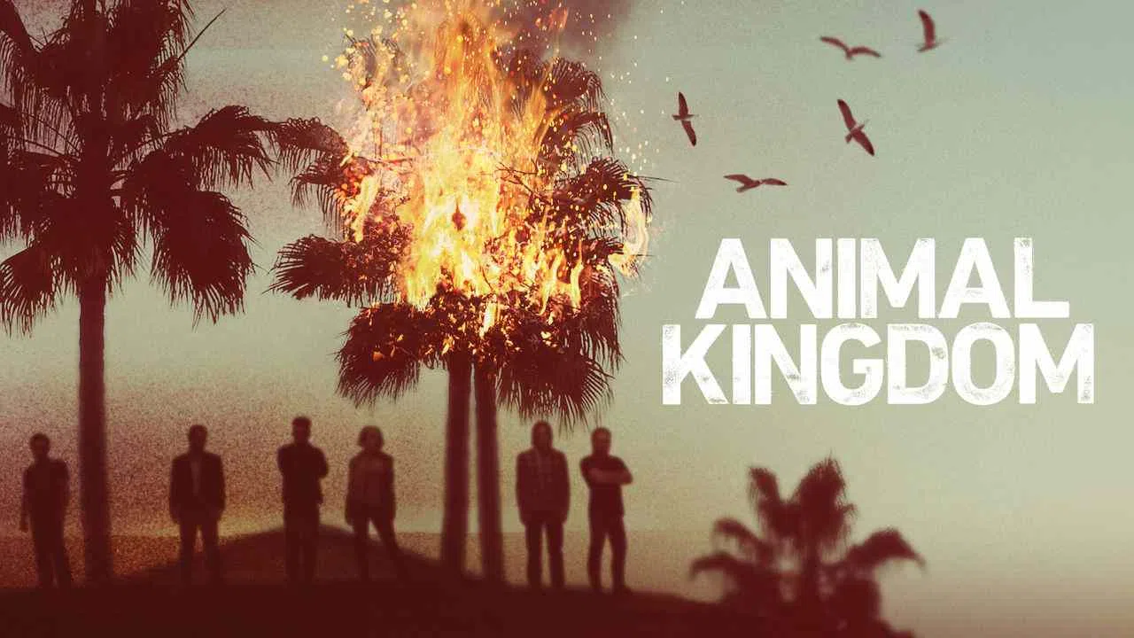 Animal Kingdom2016
