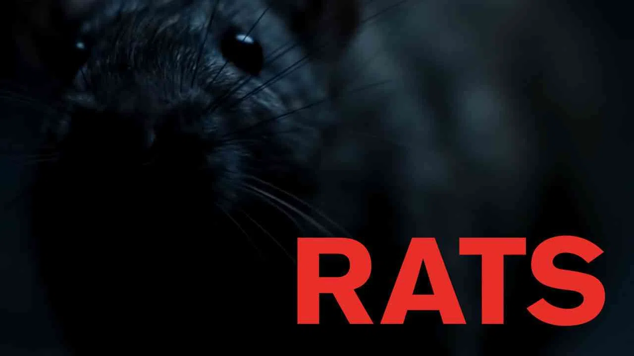 Rats2016