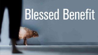 Blessed Benefit 2016