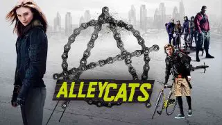 Alleycats 2016