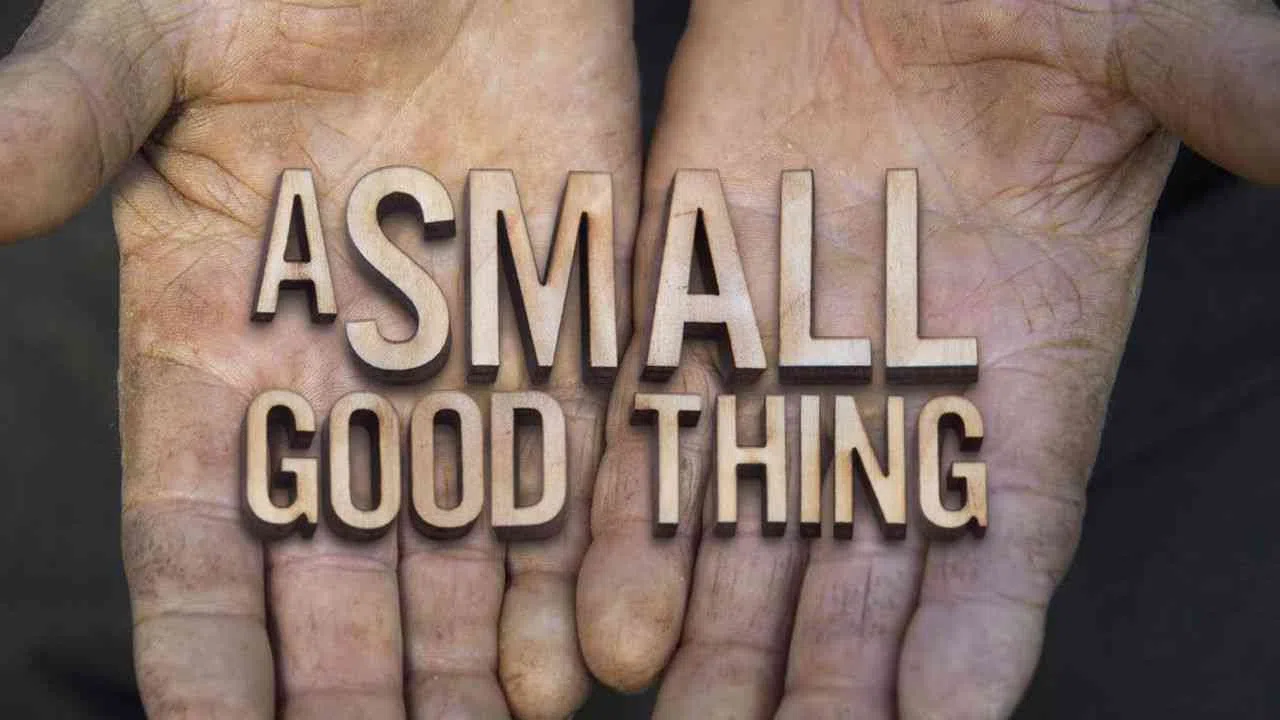 A Small Good Thing2015