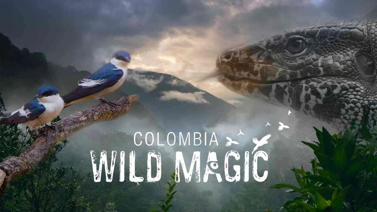 Colombia: Wild Magic2015