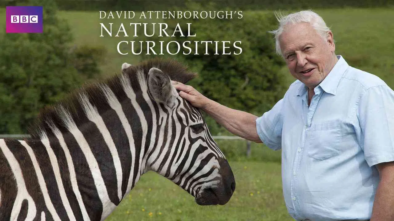David Attenborough’s Natural Curiosities2013