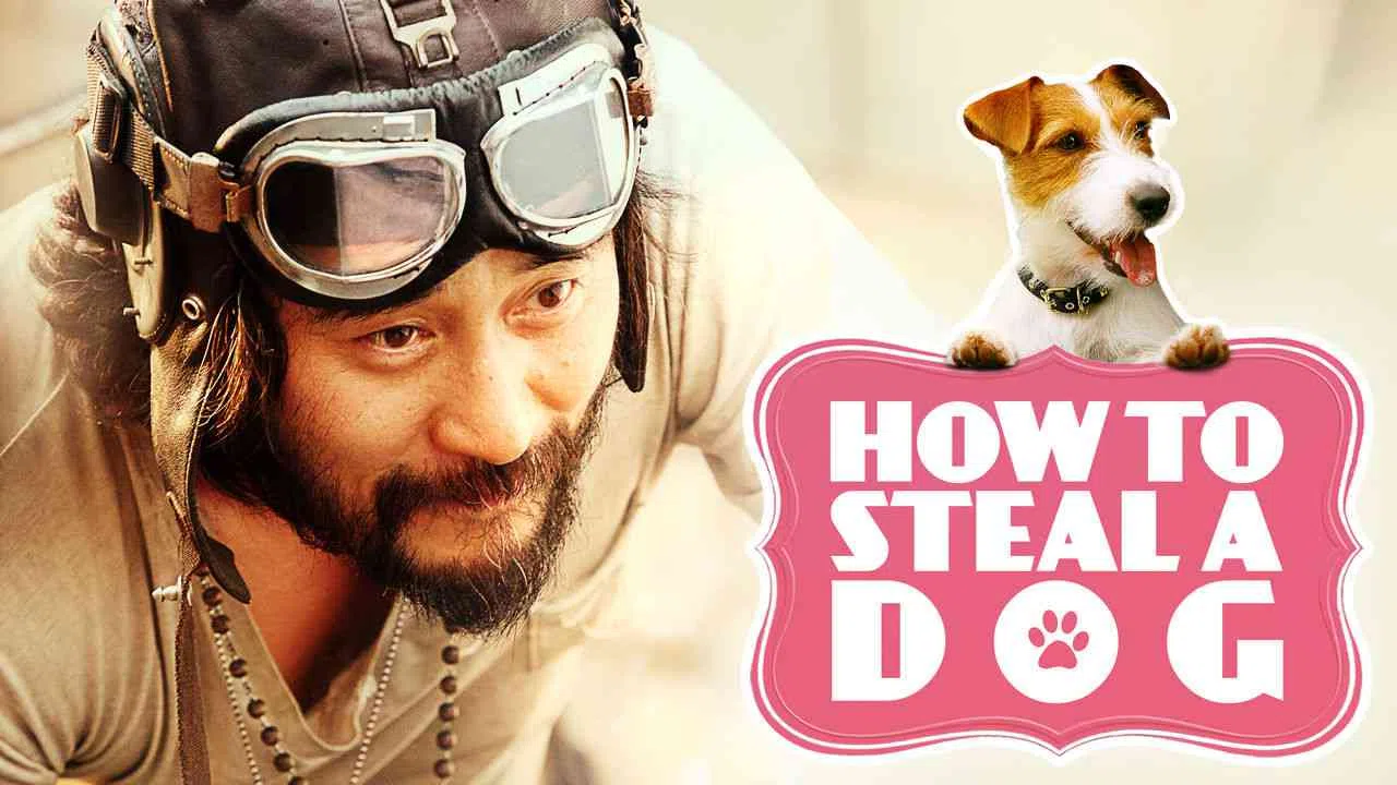 How to Steal a Dog2014