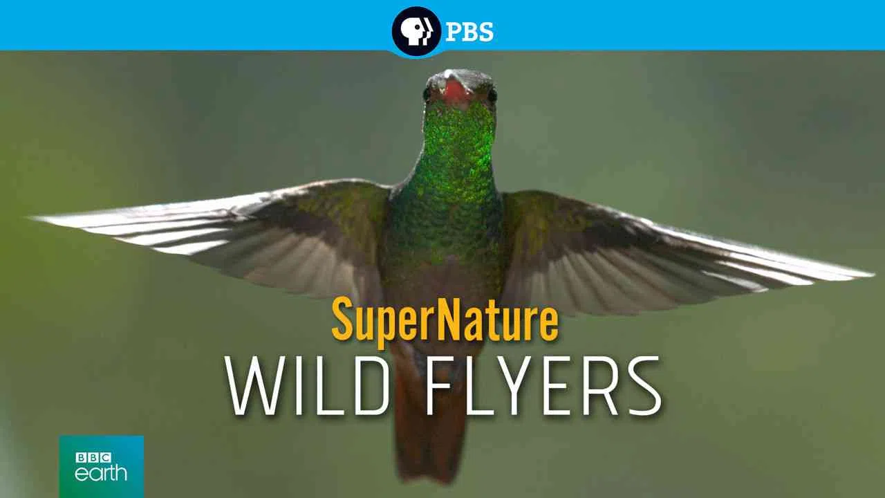 SuperNature: Wild Flyers2016