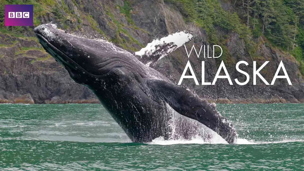 Wild Alaska2015