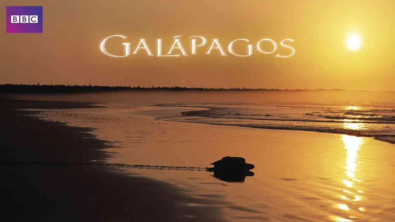 Galapagos2006