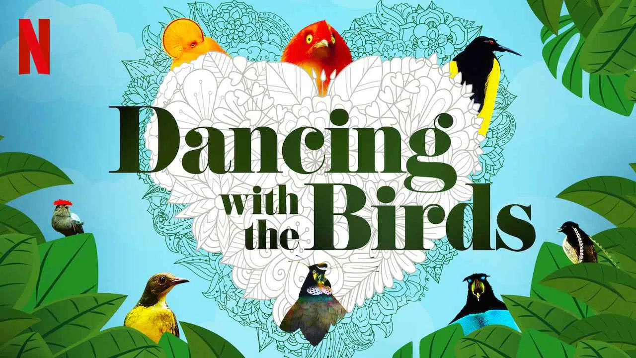 Dancing with the Birds2019
