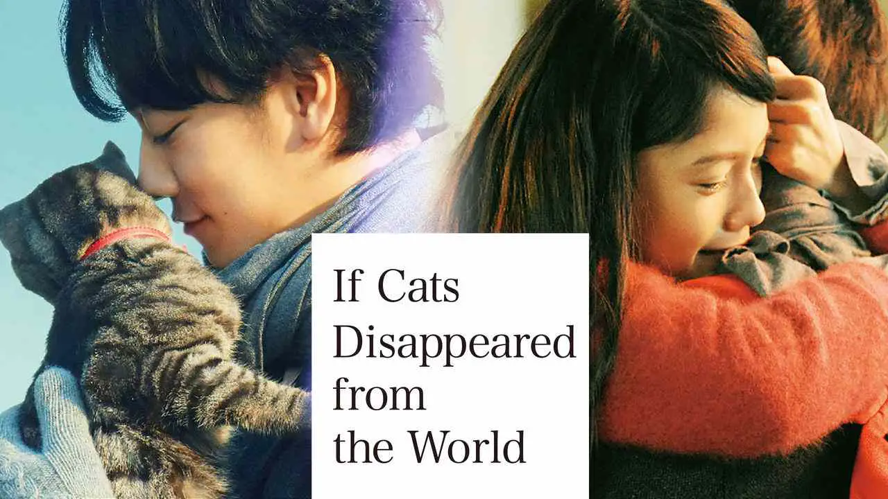 if the cats disappeared from the world book
