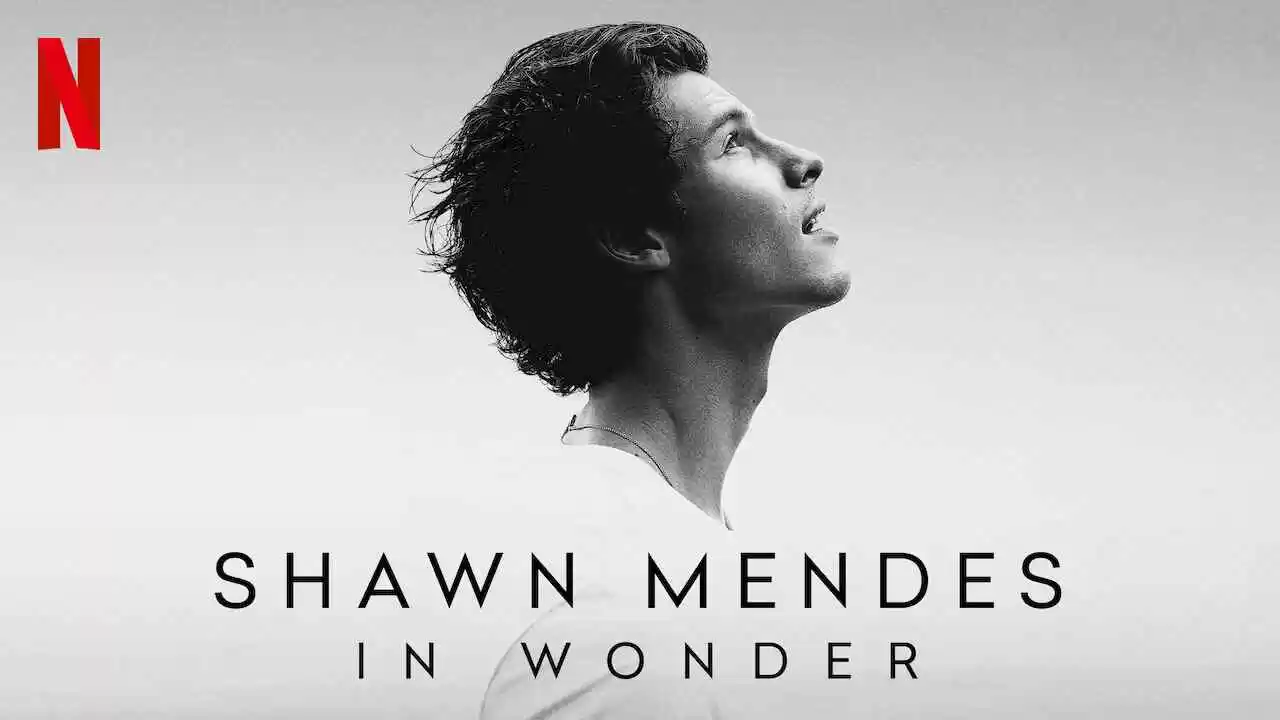 Shawn Mendes: In Wonder2020