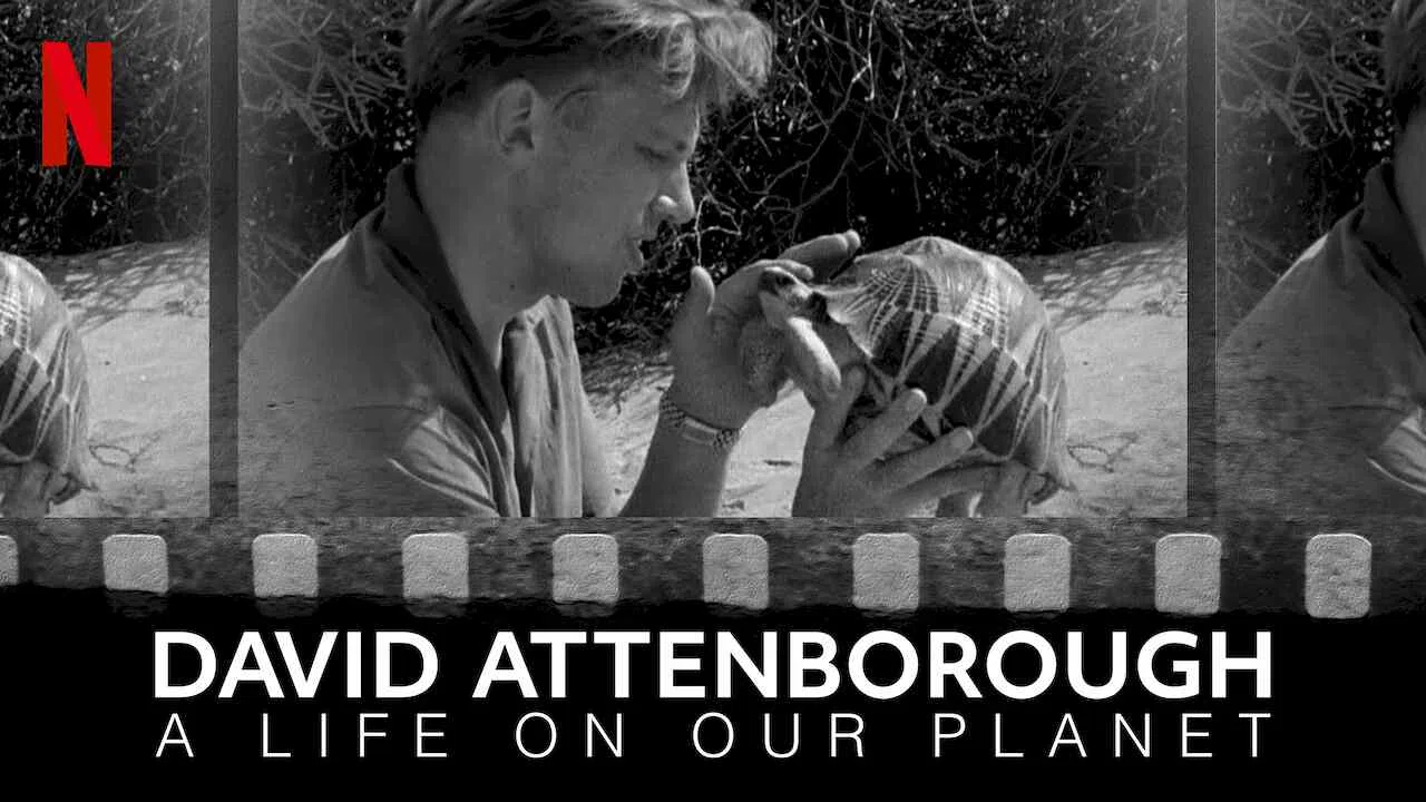 David Attenborough: A Life on Our Planet2020