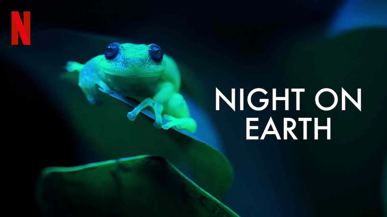 Night on Earth2020