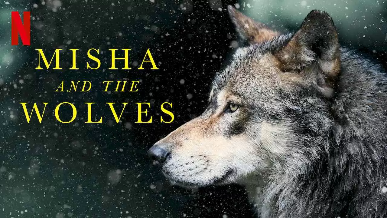 Misha and the Wolves2021