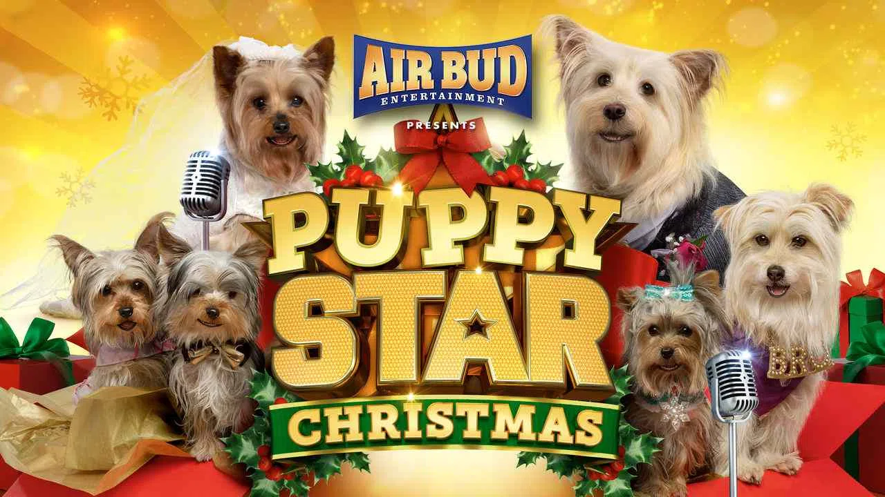 Puppy Star Christmas2018