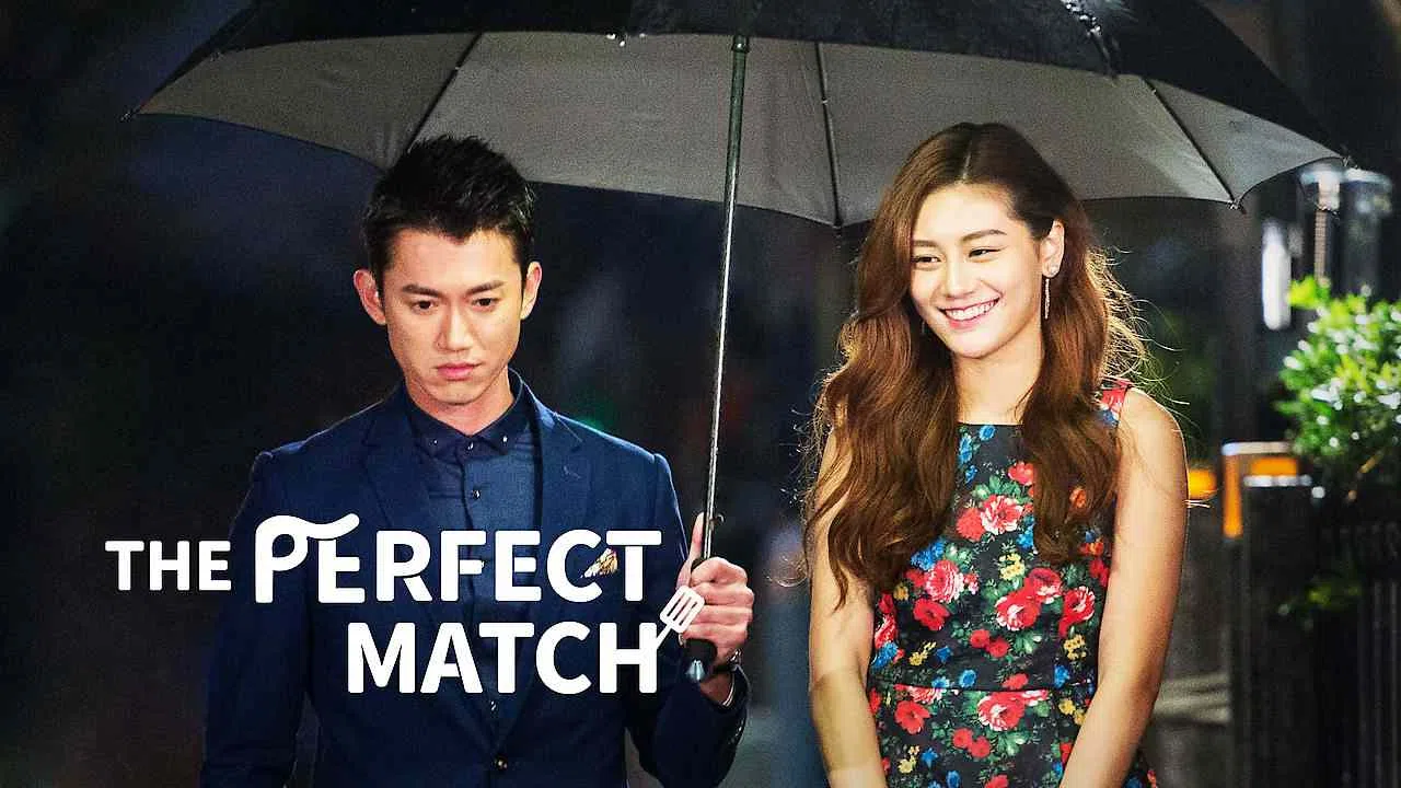The Perfect Match2017