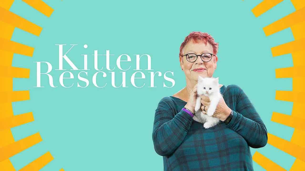 Kitten Rescuers2017