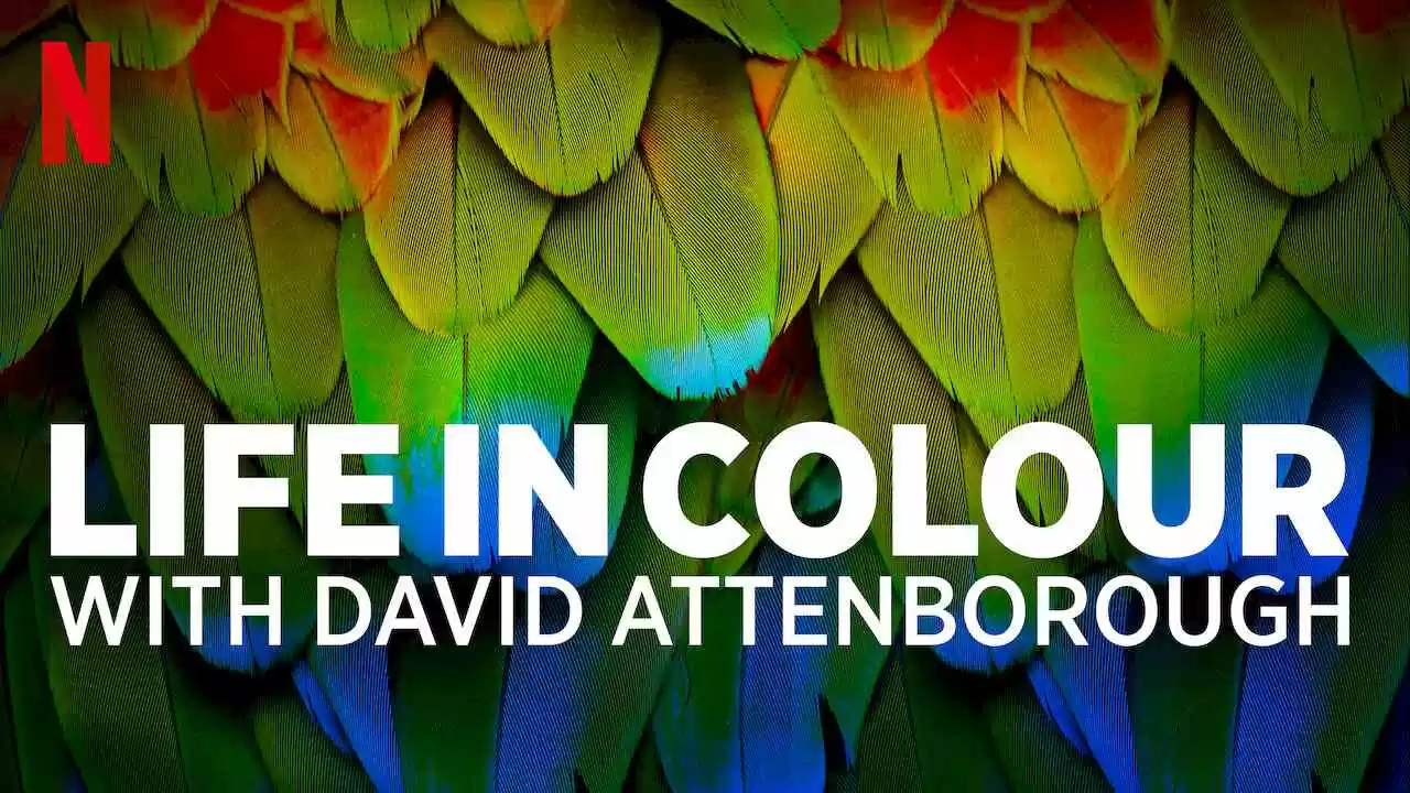 Life in Colour with David Attenborough2021