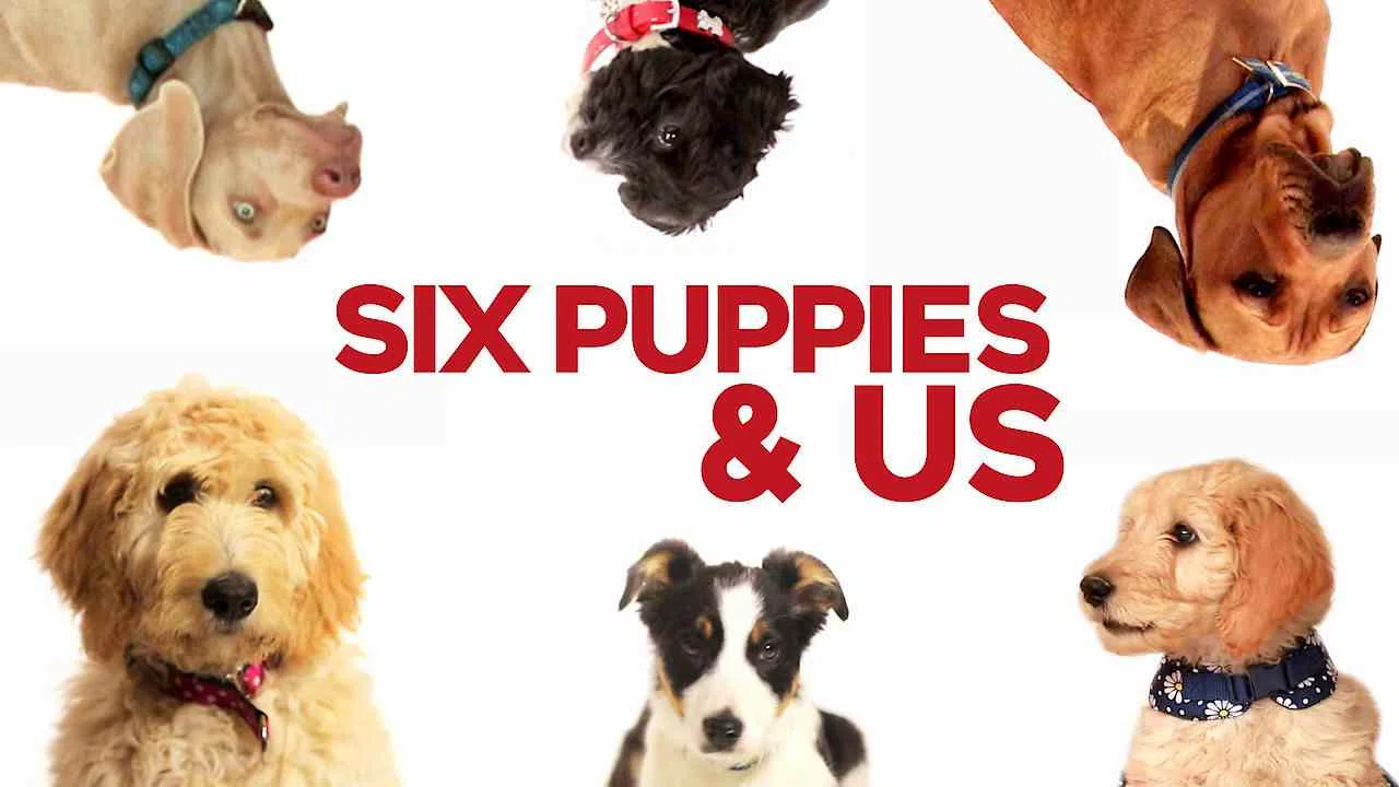 6 Puppies & Us2018
