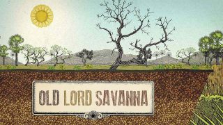 Old Lord Savanna 2018
